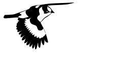 WildLife Poland – Agata Jirak-Leszczyńska